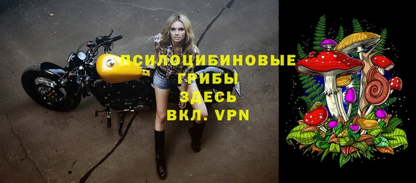 spice Абдулино